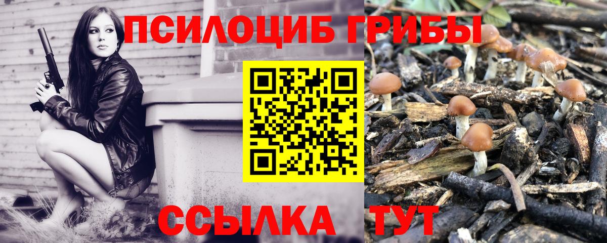 Псилоцибиновые грибы Cubensis Рославль